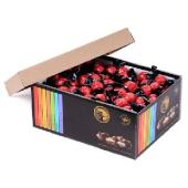 Archer rum praliné LD 2,25kg