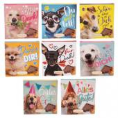 Günthart tejcsokoládé kutyás PD 38g