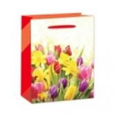Dísztasak tulipán + nárcisz - KÖZEPES